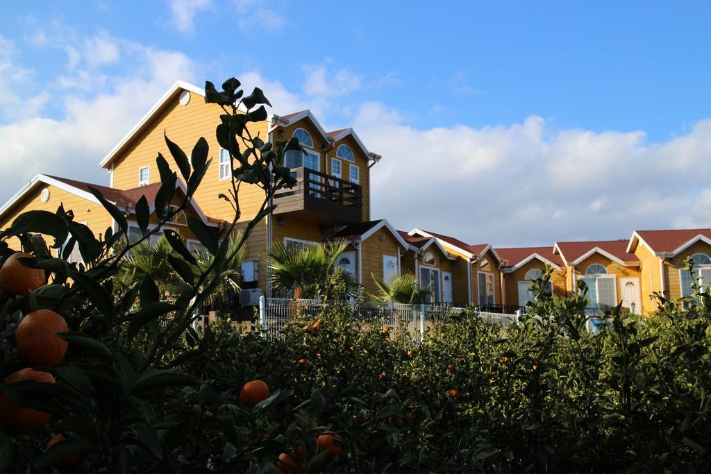 Healing House Villa Szogüpho Kültér fotó